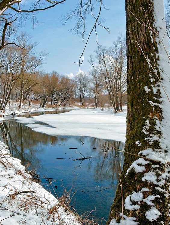 Winterlandschaft Bad-Birnbach