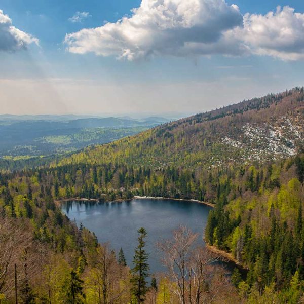 Bayrischer-Wald