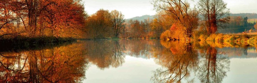 Rott-im-Herbst