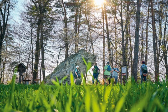 Wandern im Rottal, Halmstein, Wandergruppe